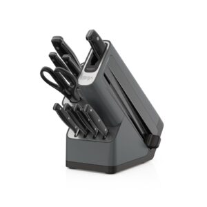 Cuchillos Ninja de Acero Inoxidable de 10 Piezas con Afilador